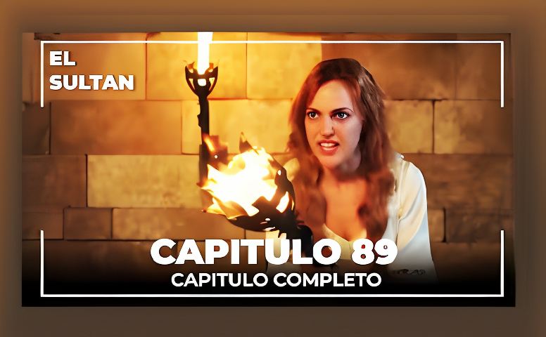 sultan casino zerkalo 82 2 - Socio Buds